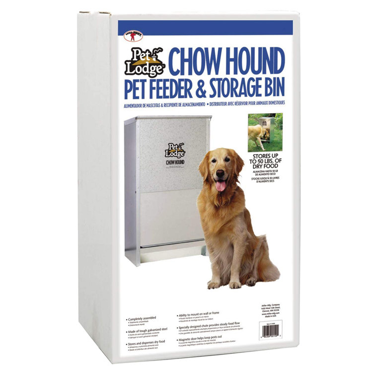 Little giant pet feeder sale